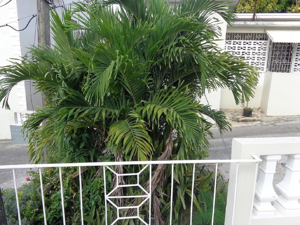 Bethel Court Guesthouse Montego Bay Eksteriør bilde